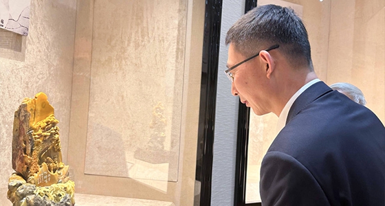 Vice Chairman of the Chinese Federation of Overseas Chinese, Gao Feng, visited Ante · Ni Dongfang Art Museum to investigate the development of the Qingtian stone carving industry
